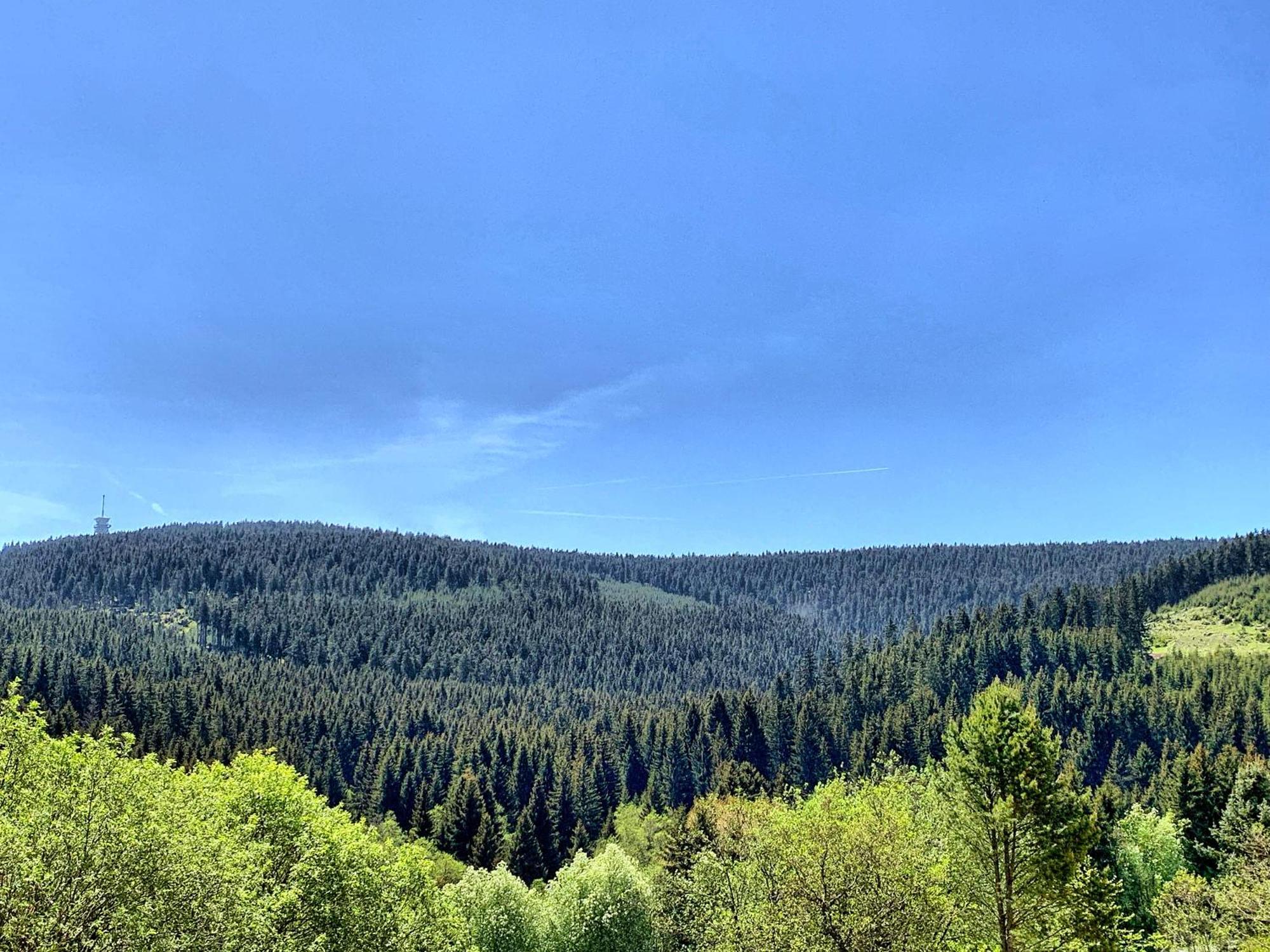 Erzgebirge Suite Bergruhe Обервиезентал Екстериор снимка